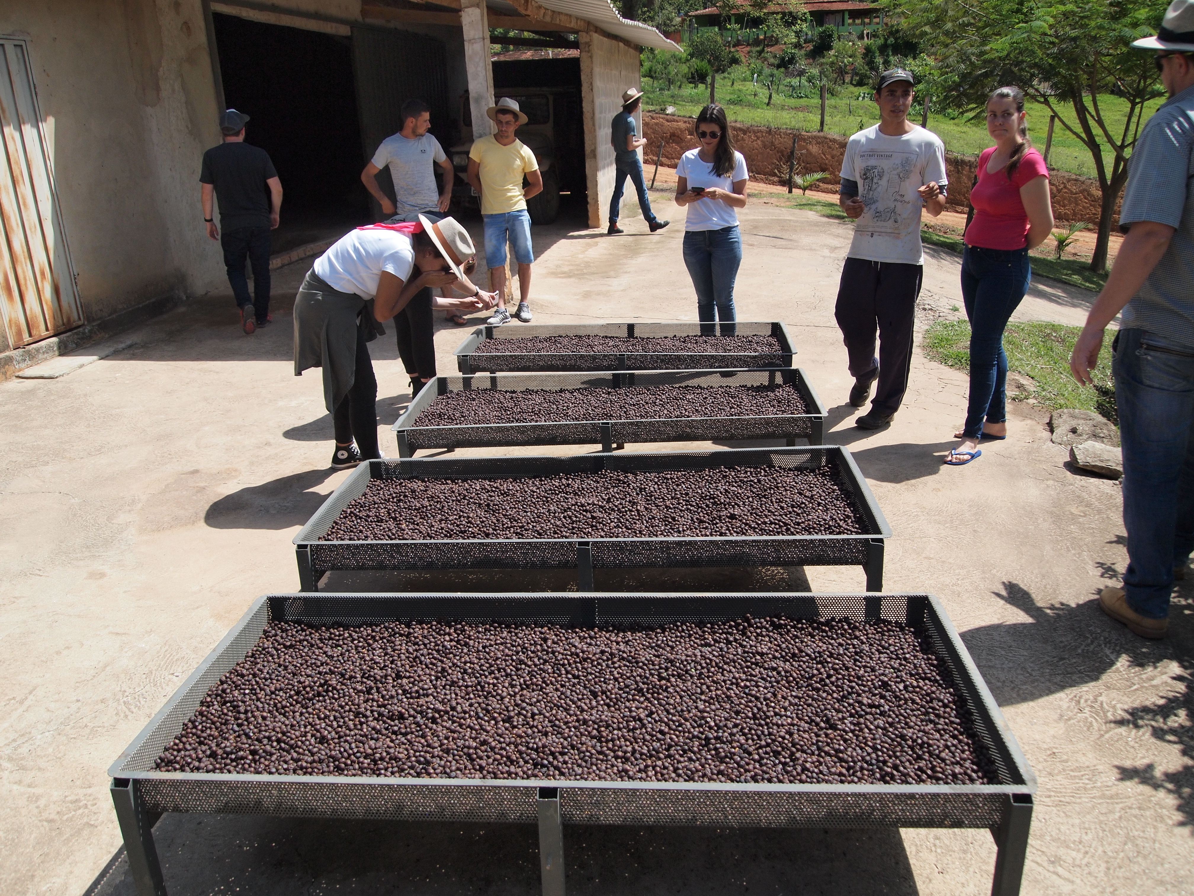 Sitio Vargem Anaerobic #7 