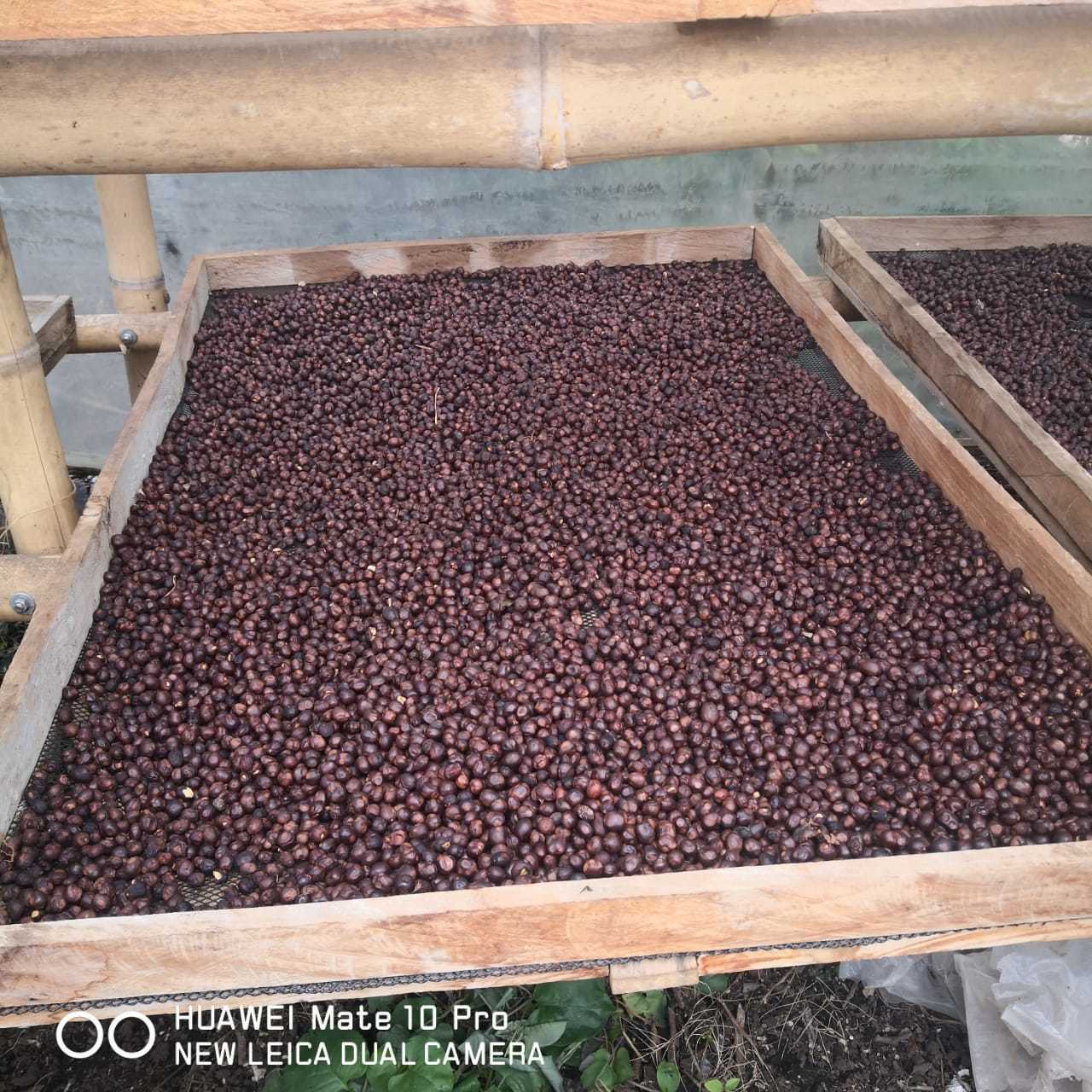 Julio Cesar Montenegro 