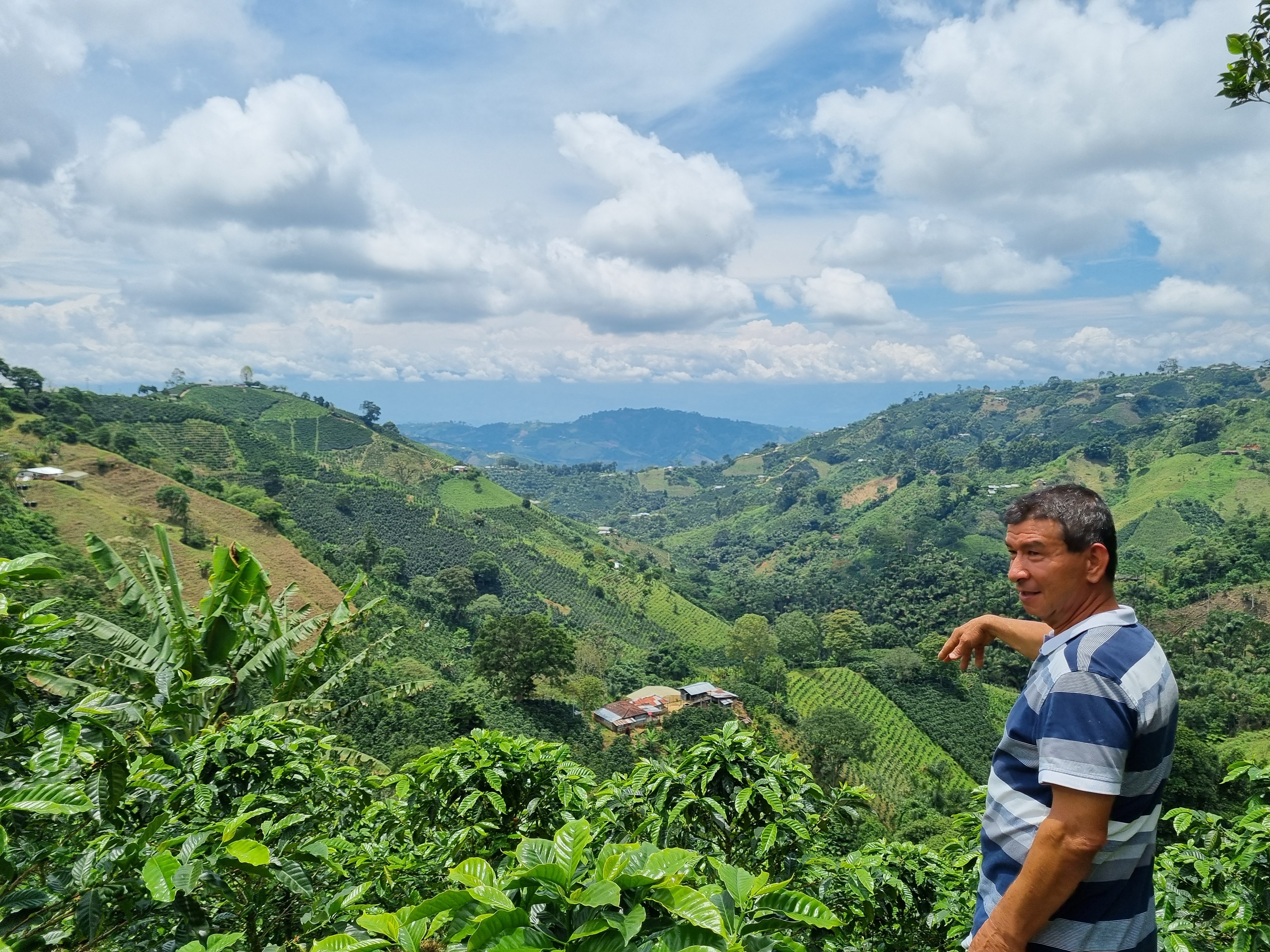 Classic: Pan de azúcar