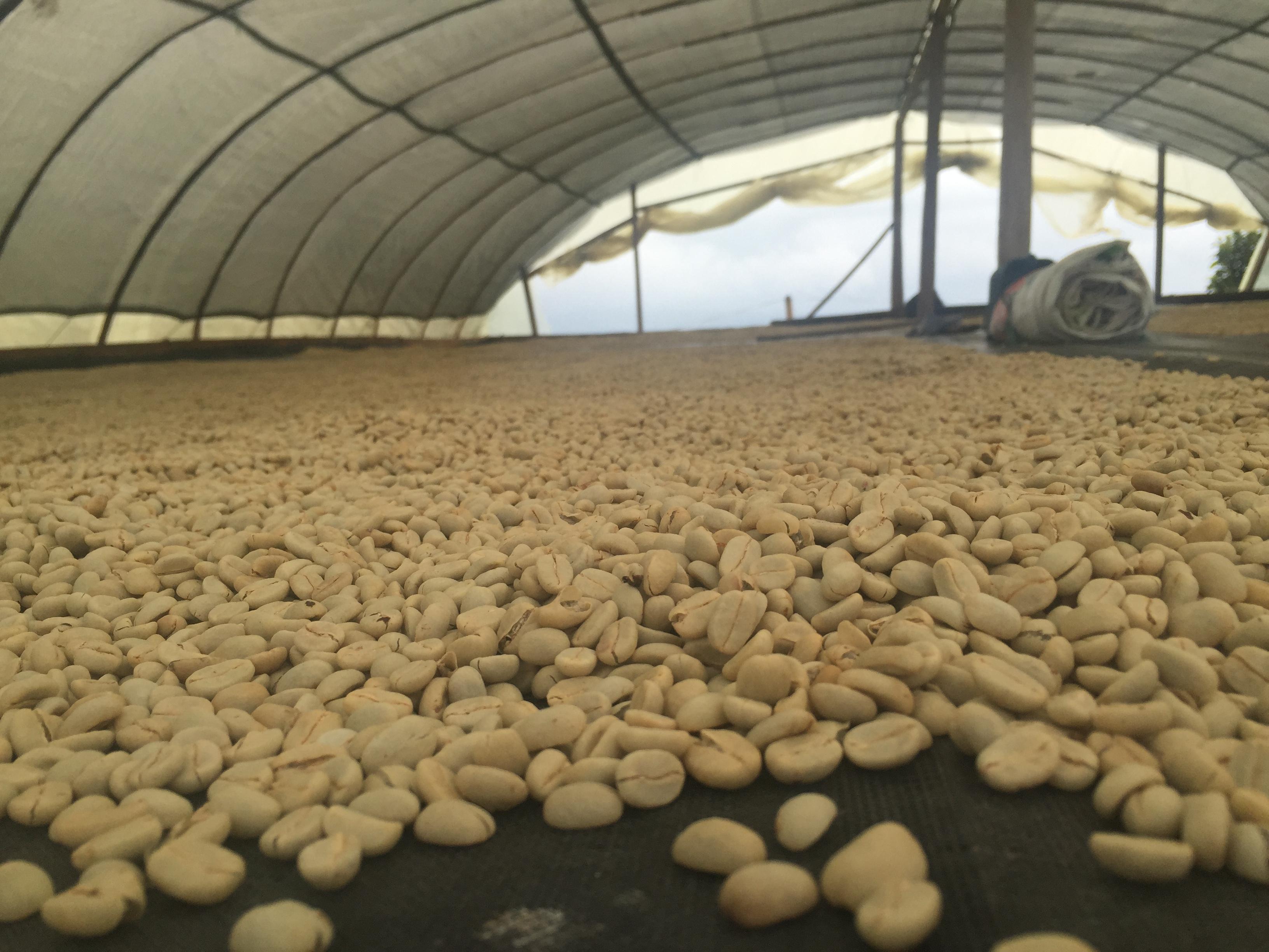 Classic: El Progreso