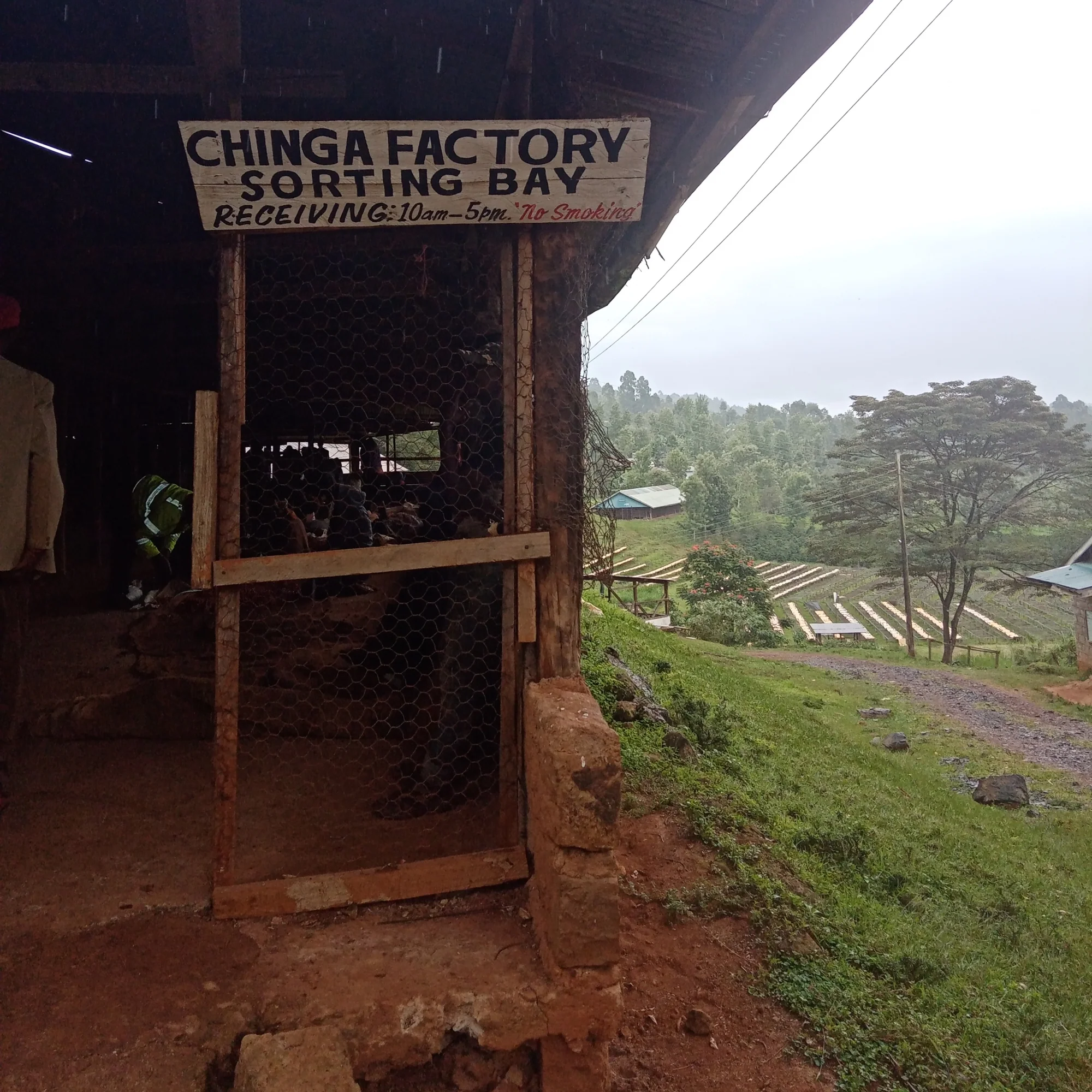 Purchase Chinga coffee with flavors of Raspberry, Lime, Sugarcane