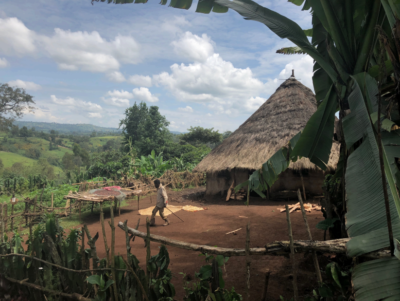 Chelbesa Natural '24