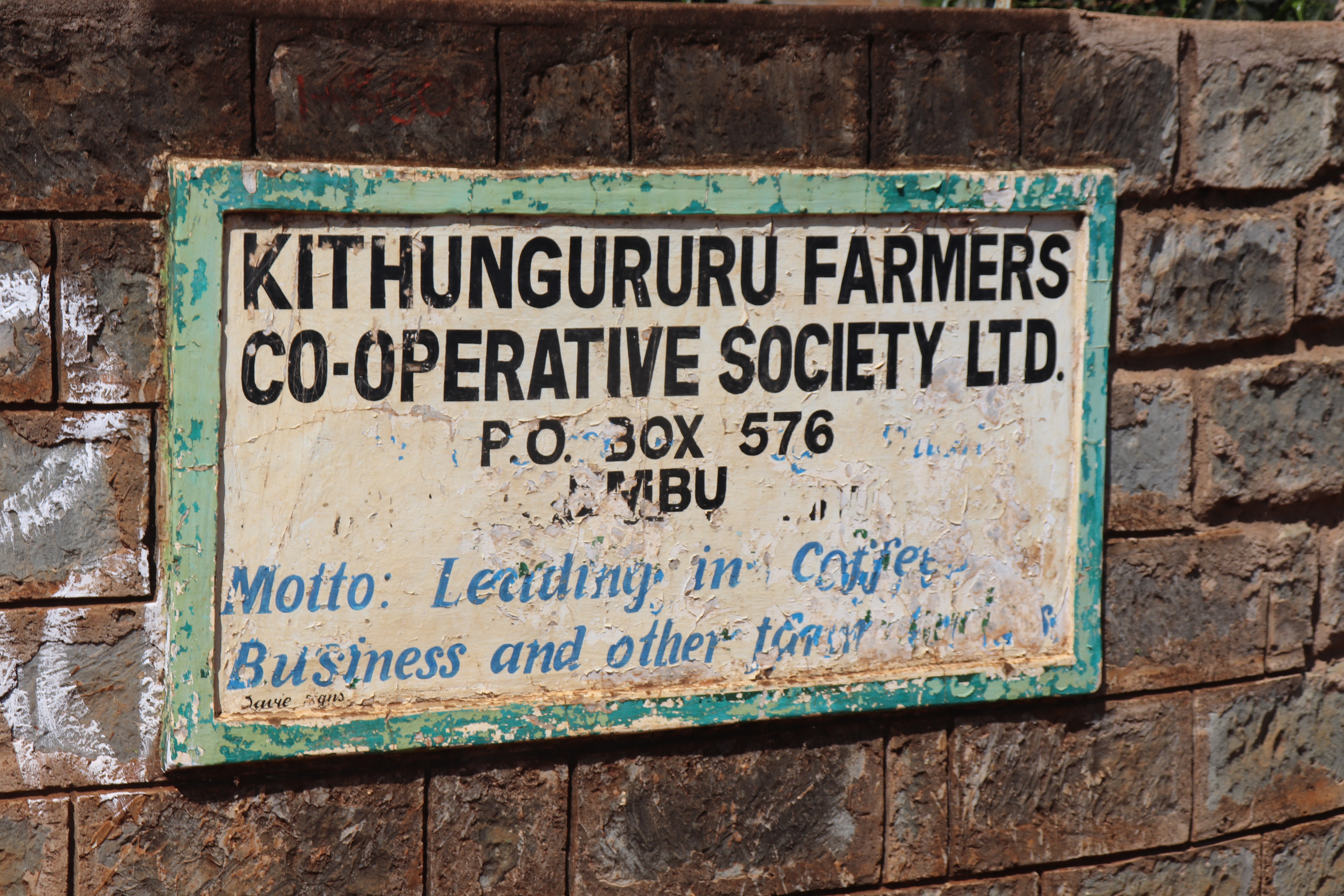 Tasting Series Kithingururu