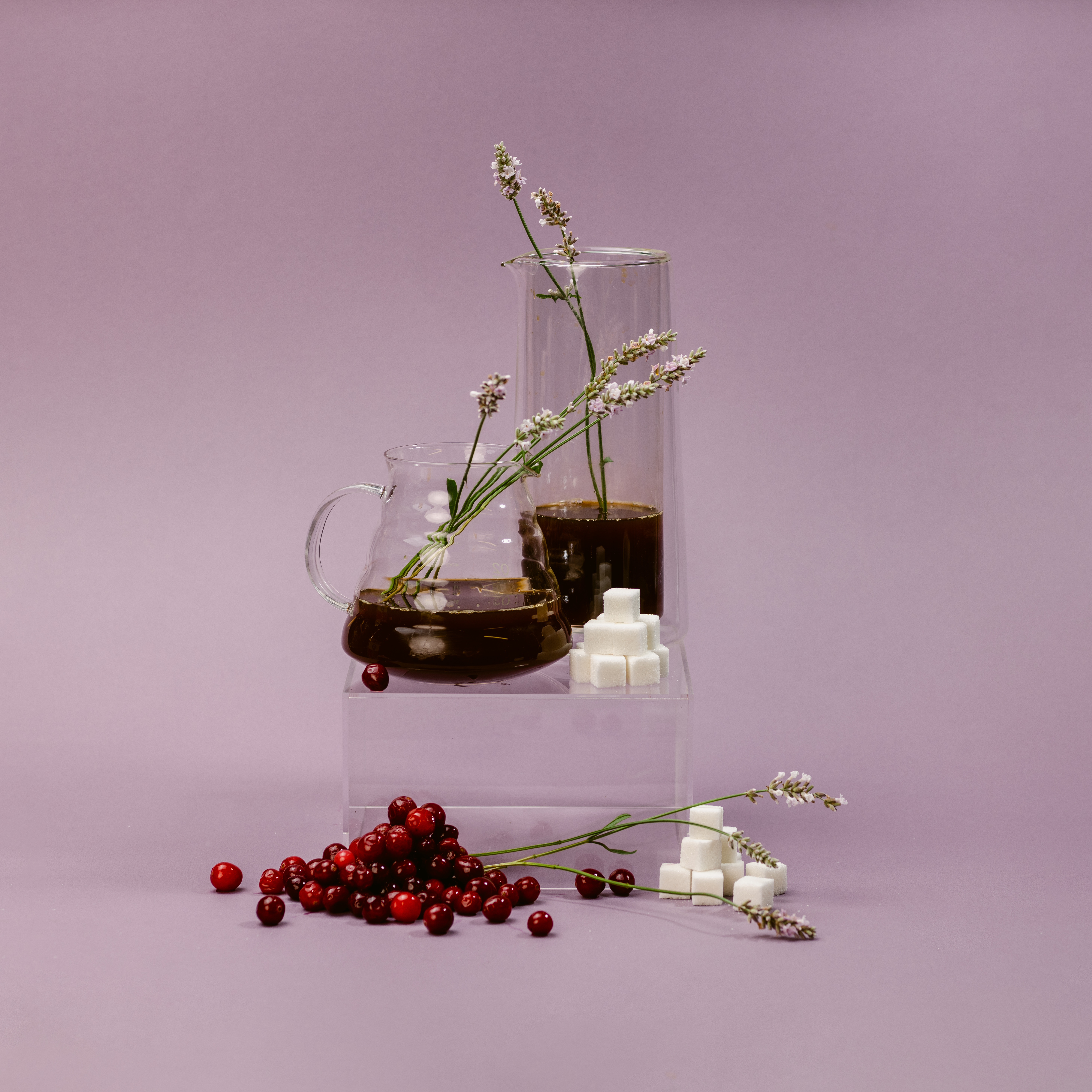 TS: El Guatalón Geisha