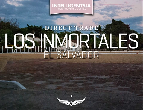 Intelligentsia