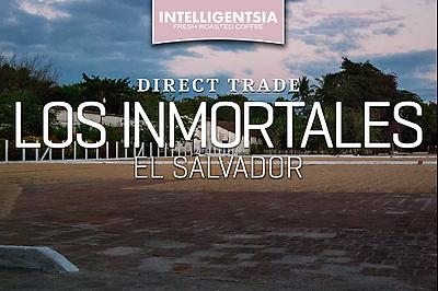 Intelligentsia