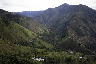 Purchase Samaniego coffee with flavors of Honeydew, Raspberry, Chocolate