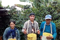 La Colmena 