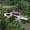 Purchase Natural Guamo coffee with flavors of Cherry, Blueberry, Cocoa, Tropical Fruit