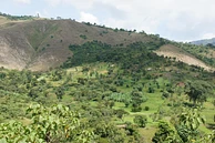 Torea Village