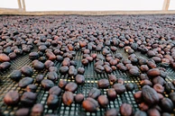 Tasting Series: Finca La Esperanza Natural