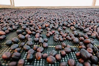 Tasting Series: Finca La Esperanza Natural