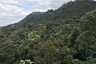 Tasting Series: Benavides Lot 2