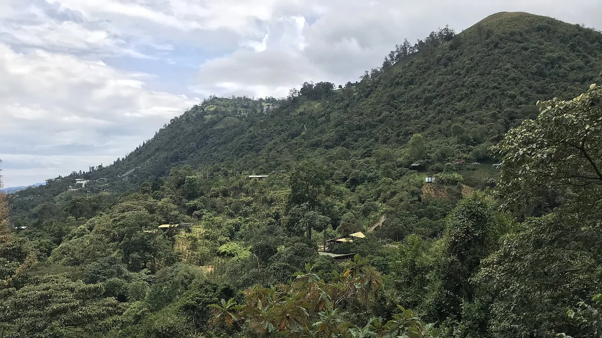 Tasting Series: Benavides Lot 2