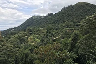 Tasting Series: Benavides Lot 2