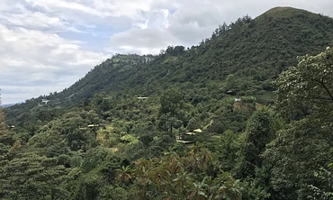 El Rosal Nariño