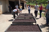 Sitio Vargem Anaerobic #7 