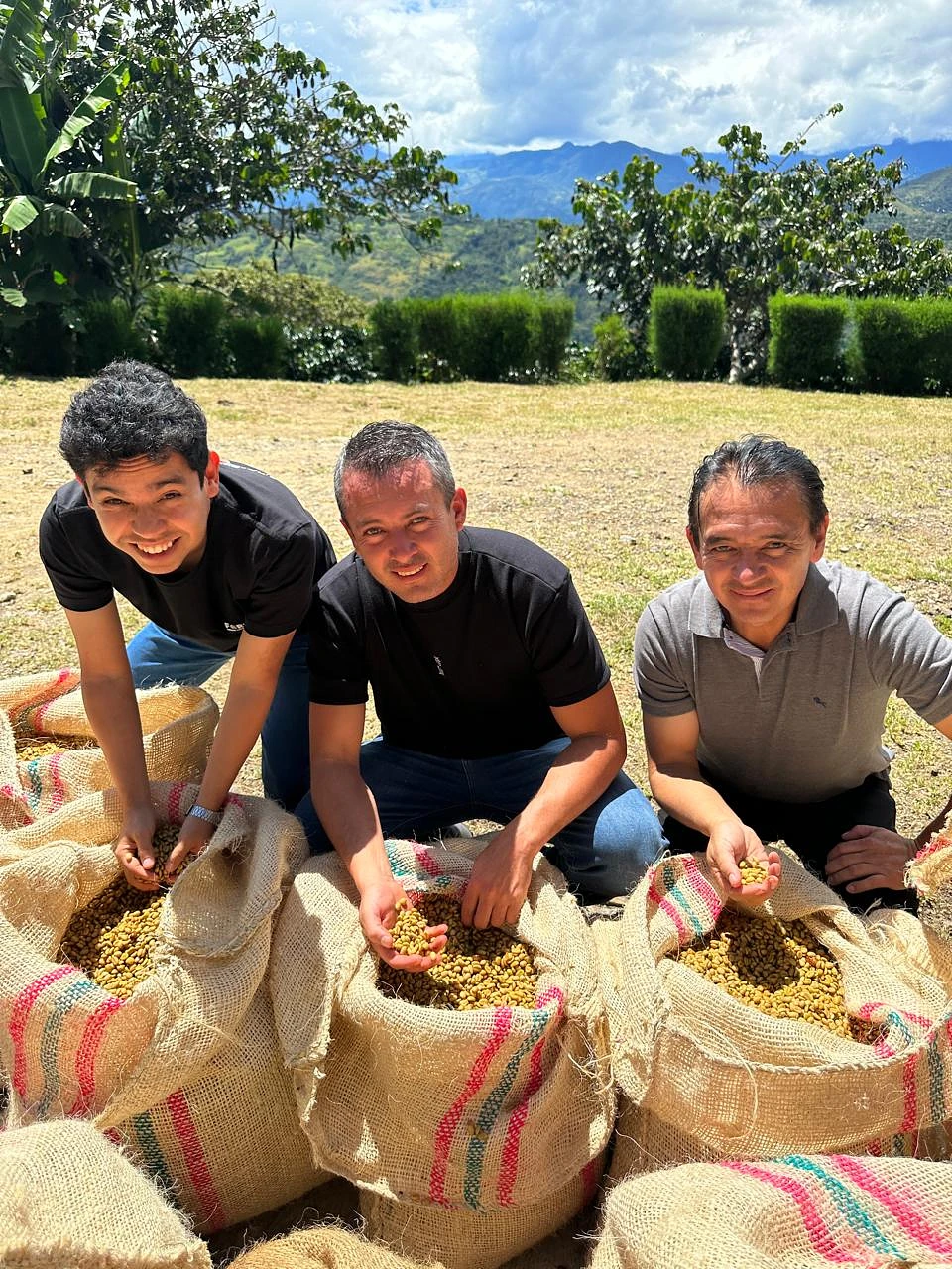 Purchase TS: El Paeso coffee with flavors of Orange, Citrus, Floral, Coconut