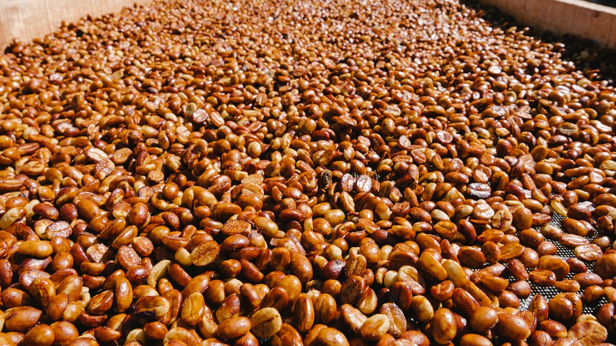 Purchase Tasting Series: Finca La Esperanza Honey coffee with flavors of Strawberry, Chocolate, Floral
