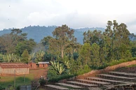 Ethiopia Aroresa