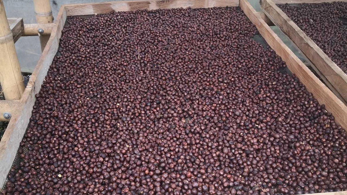 Julio Cesar Montenegro 