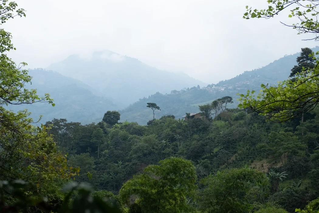 Green hills and mist over a rural valley in northern Peru