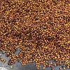 Purchase El Diviso '26 coffee with flavors of Rosemary, Nectarine, Lime, Honeycomb