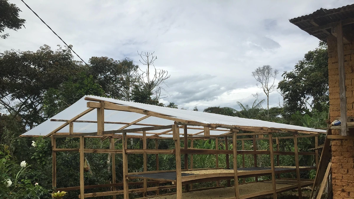 Tasting Series: Picorana