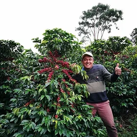 Purchase Caturra Syrup coffee with flavors of Caramel, Almond, Floral, Citrus