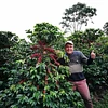 Purchase Caturra Syrup coffee with flavors of Caramel, Almond, Floral, Citrus
