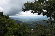 Tasting Series: San Martin Pink Bourbon