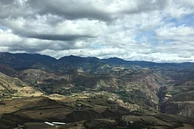 Fruta Madura Collective 