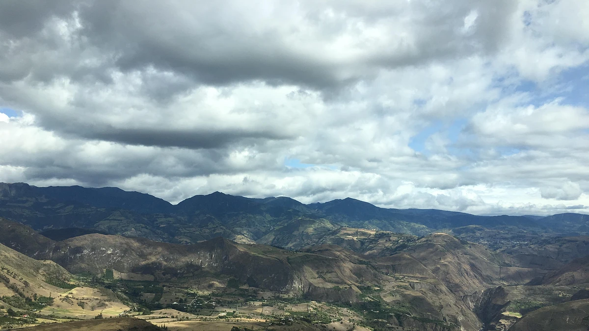 Fruta Madura Collective 