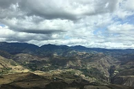 Fruta Madura Collective 