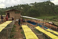 Mbirizi #1