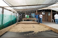 Classic: Villa Maria 