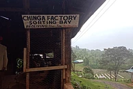 Chinga