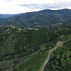 Purchase El Diviso '26 coffee with flavors of Rosemary, Nectarine, Lime, Honeycomb