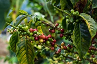  La Ermita Microlot