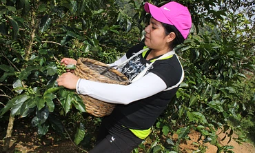 Classic: Sumac Warmi