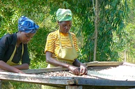 Maraba