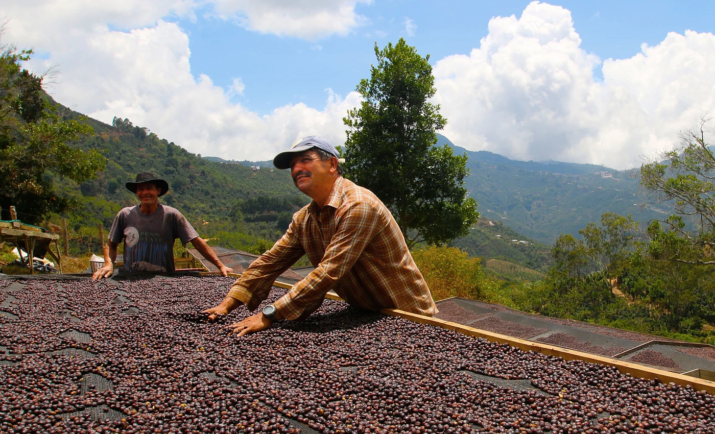 Purchase Finca La Loma coffee with flavors of Finca La Loma