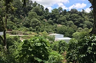 Tasting Series: El Socorro Geisha