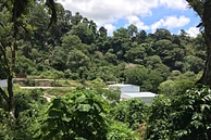 Tasting Series: El Socorro Geisha 2021