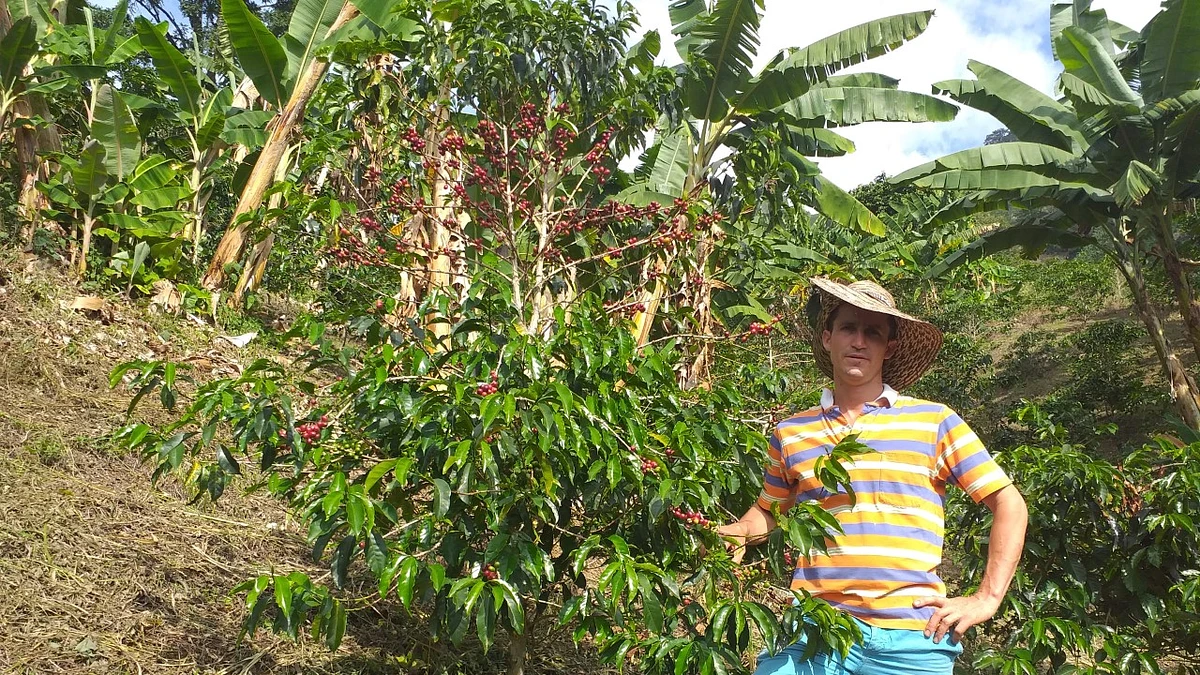 Tasting Series: Villa Tatiana