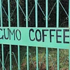 Kiamugumo coffee in Kirinyaga County, Kenya