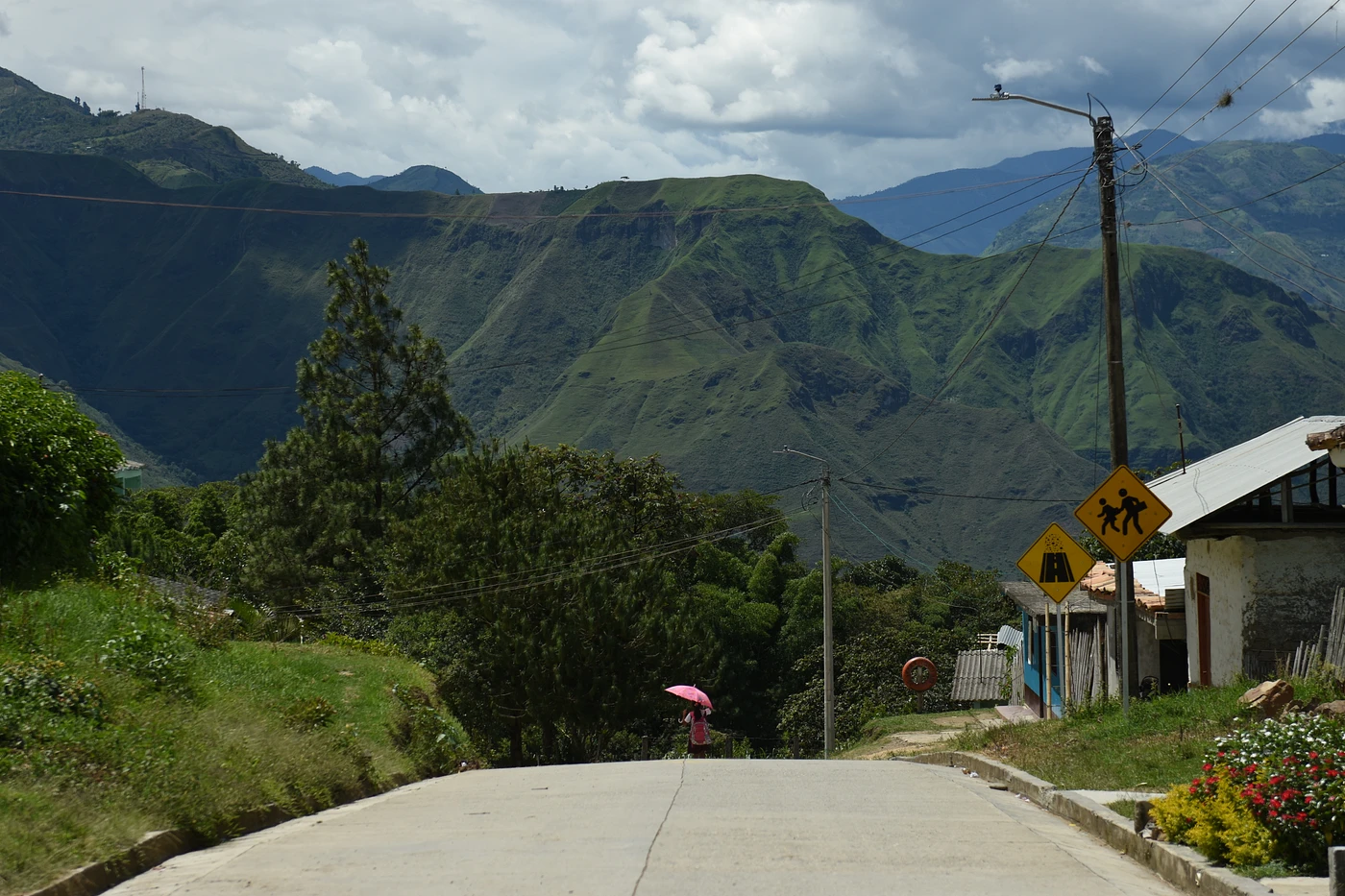 Purchase Alto de la Cruz coffee with flavors of Sugarcane, Honeydew, Buttery