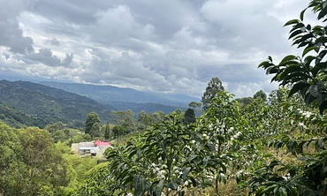 TS: El Diviso - Lot #1