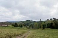 El Guamito