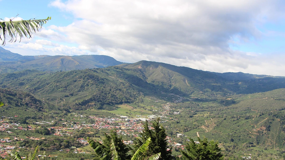 Purchase Classic: Santa Elena coffee with flavors of Chocolate, Lemongrass, Almond